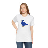 Kosovo